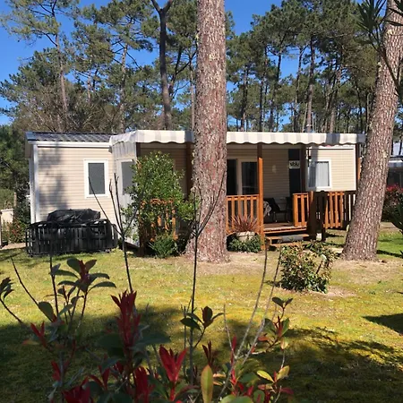 Les Dunes De Contis Chez Edith Ocean Pins Et Detente Assuree Dans 4 Etoiles Saint-Julien-en-Born