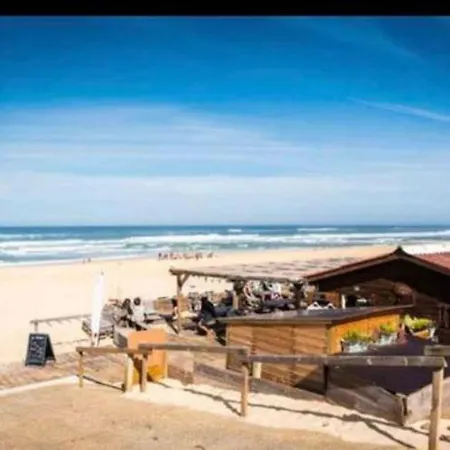 Campsite Les Dunes De Contis Chez Edith Ocean Pins Et Detente Assuree Dans 4 Etoiles